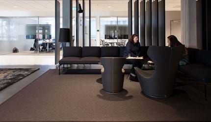 Aftenposten, Oslo_05..afpassede tæpper, sisal